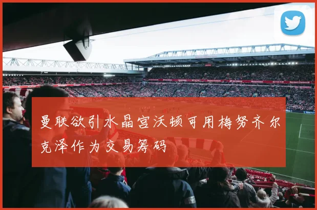 曼联欲引水晶宫沃顿可用梅努齐尔克泽作为交易筹码