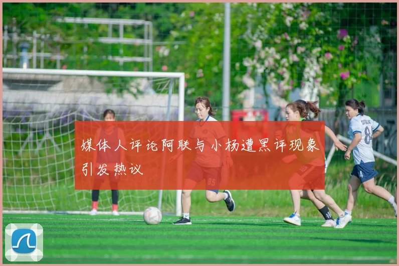 媒体人评论阿联与小杨遭黑评现象引发热议