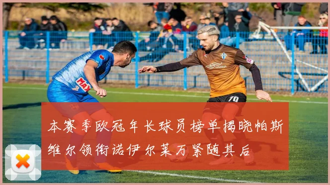 本赛季欧冠年长球员榜单揭晓帕斯维尔领衔诺伊尔莱万紧随其后